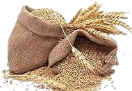 ठाकुर ट्रेडर्स 